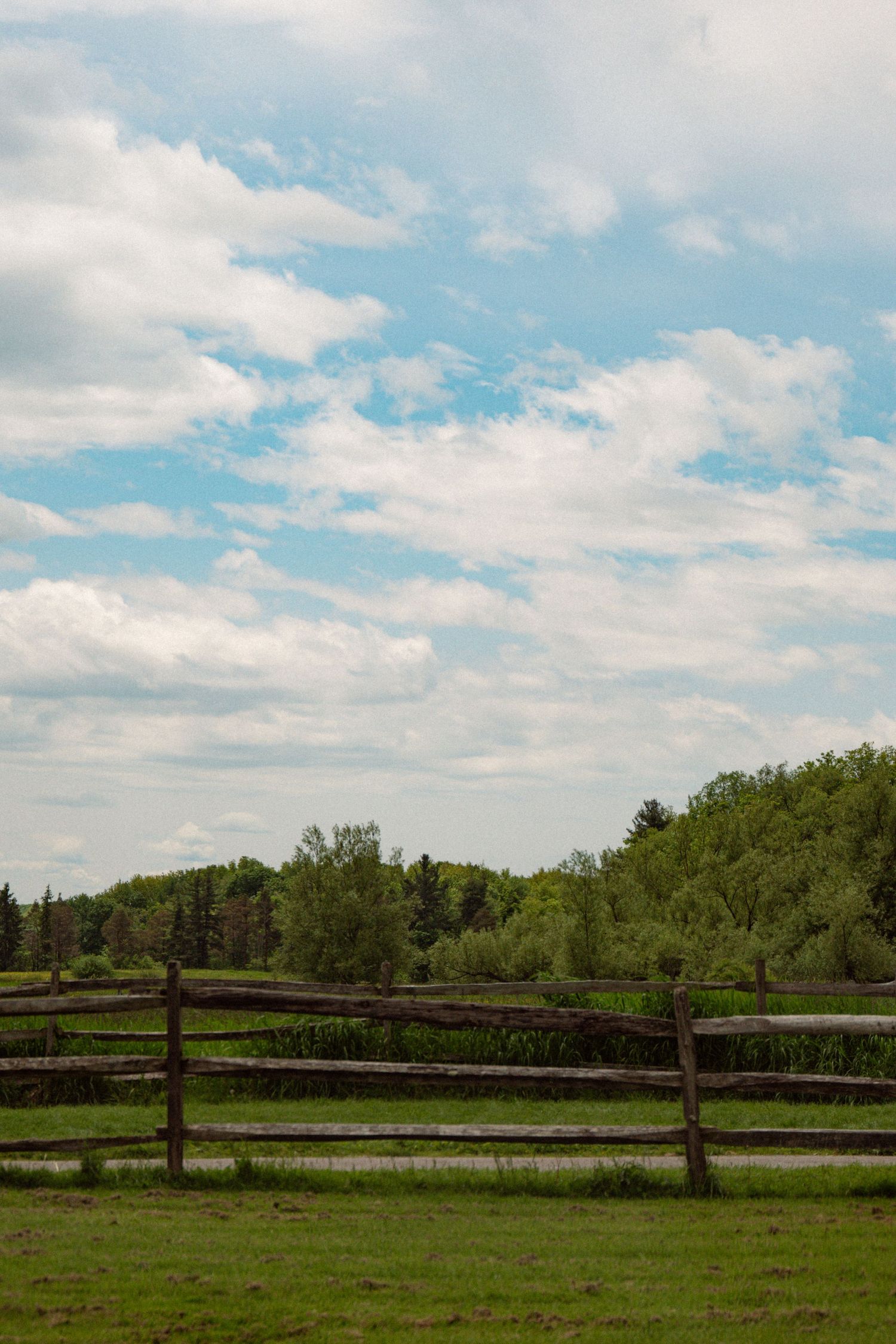 A rustic wooden fence borders a green pasture with trees and fluffy clouds in a bright blue summer sky.