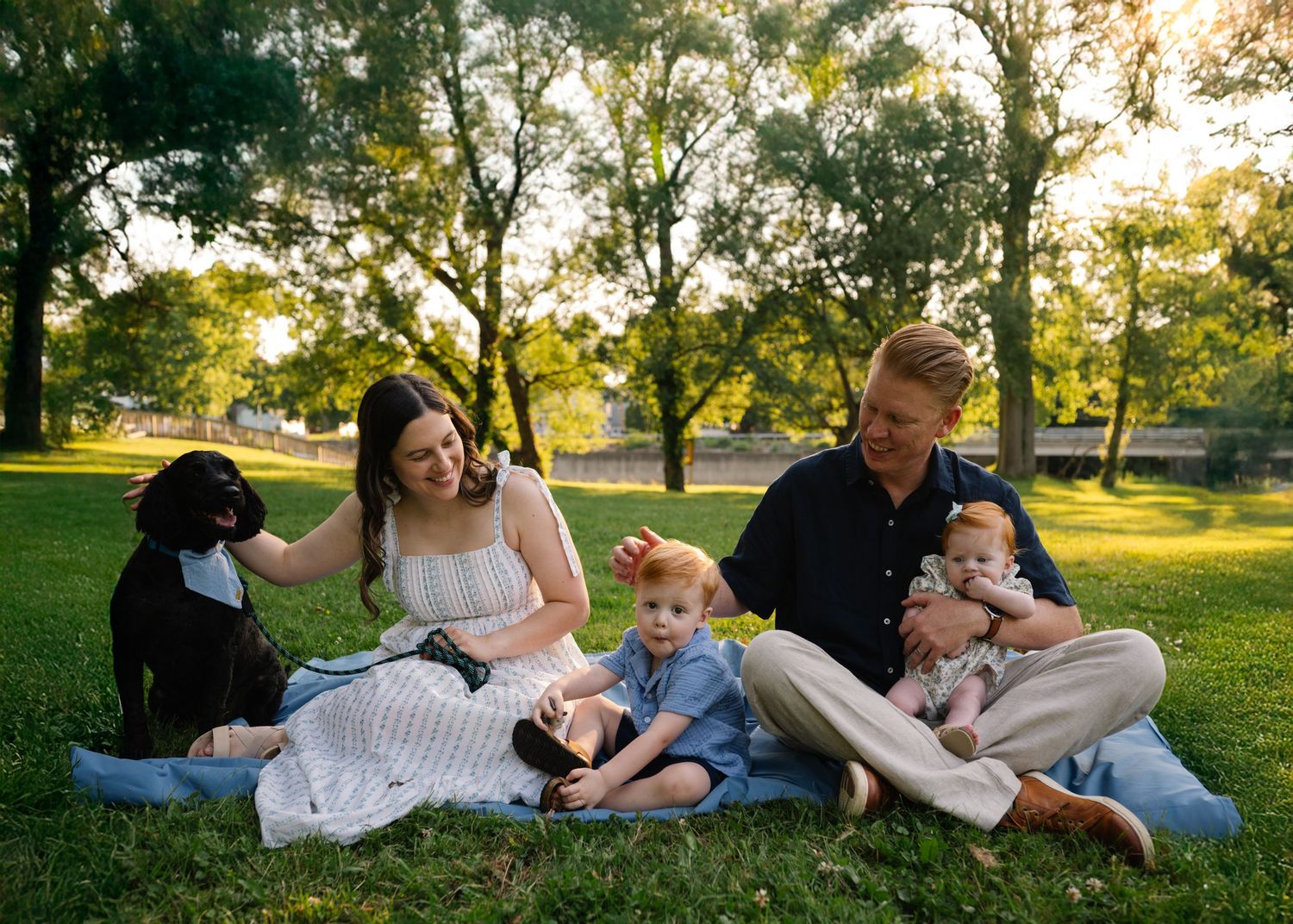 Family with two kids and a black dog enjoying a sunny picnic on green grass in a park setting.