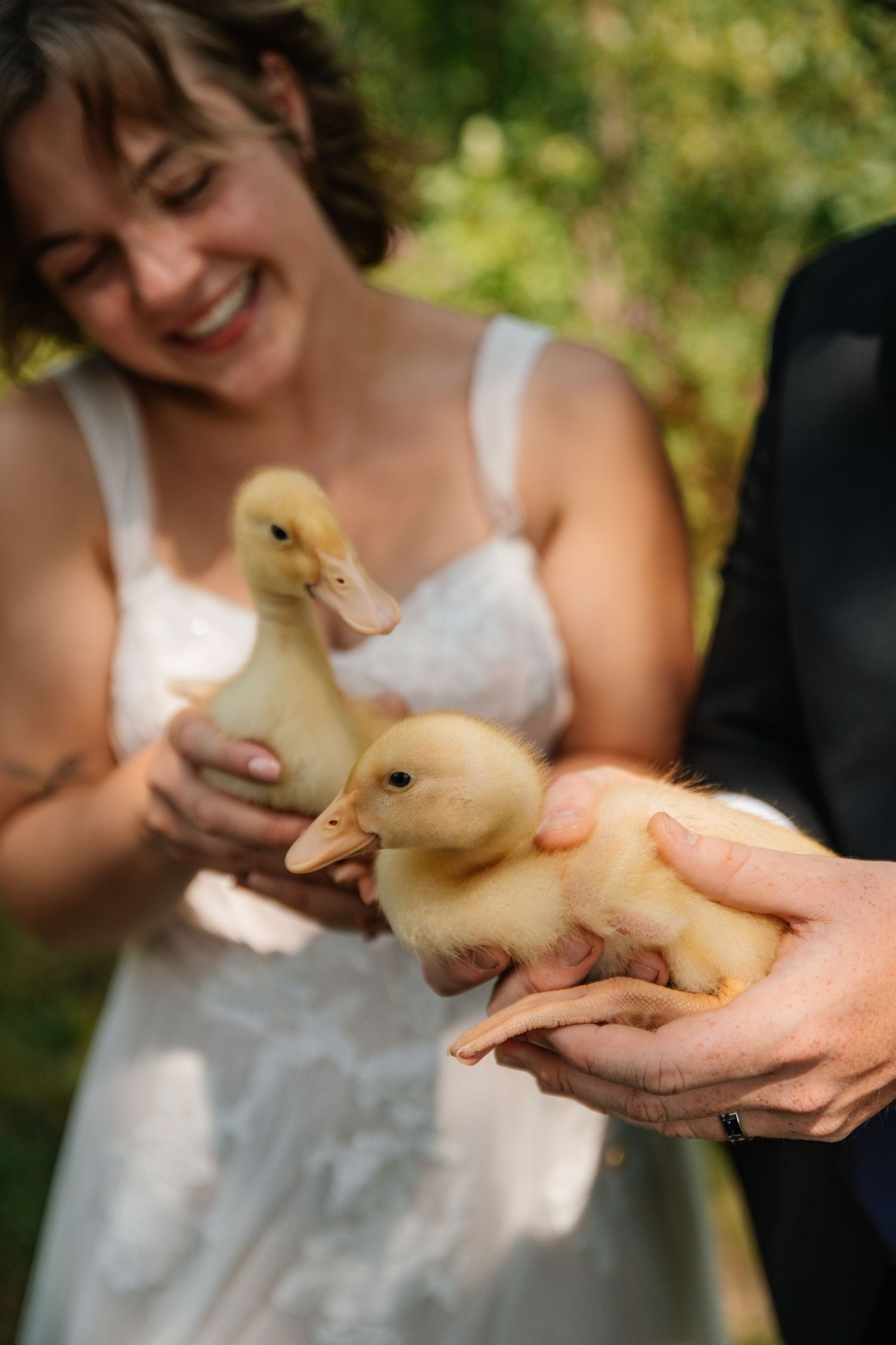 Bride in white dress and groom holding two fluffy yellow ducklings outdoors at their wedding.
