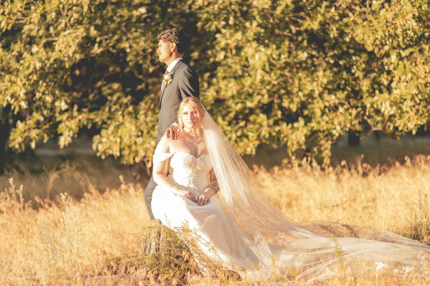 wedding portrait in a golden hour photoshoot in big bear lake