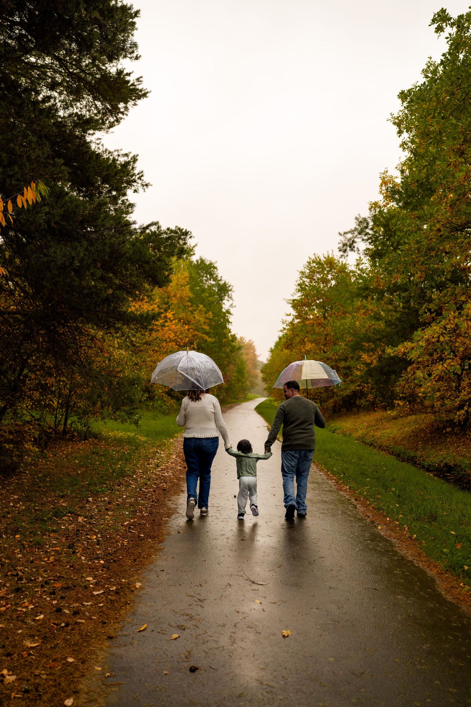 Parents holding clear umbrellas walk hand in hand with a toddler along a wet path through colorful autumn trees.