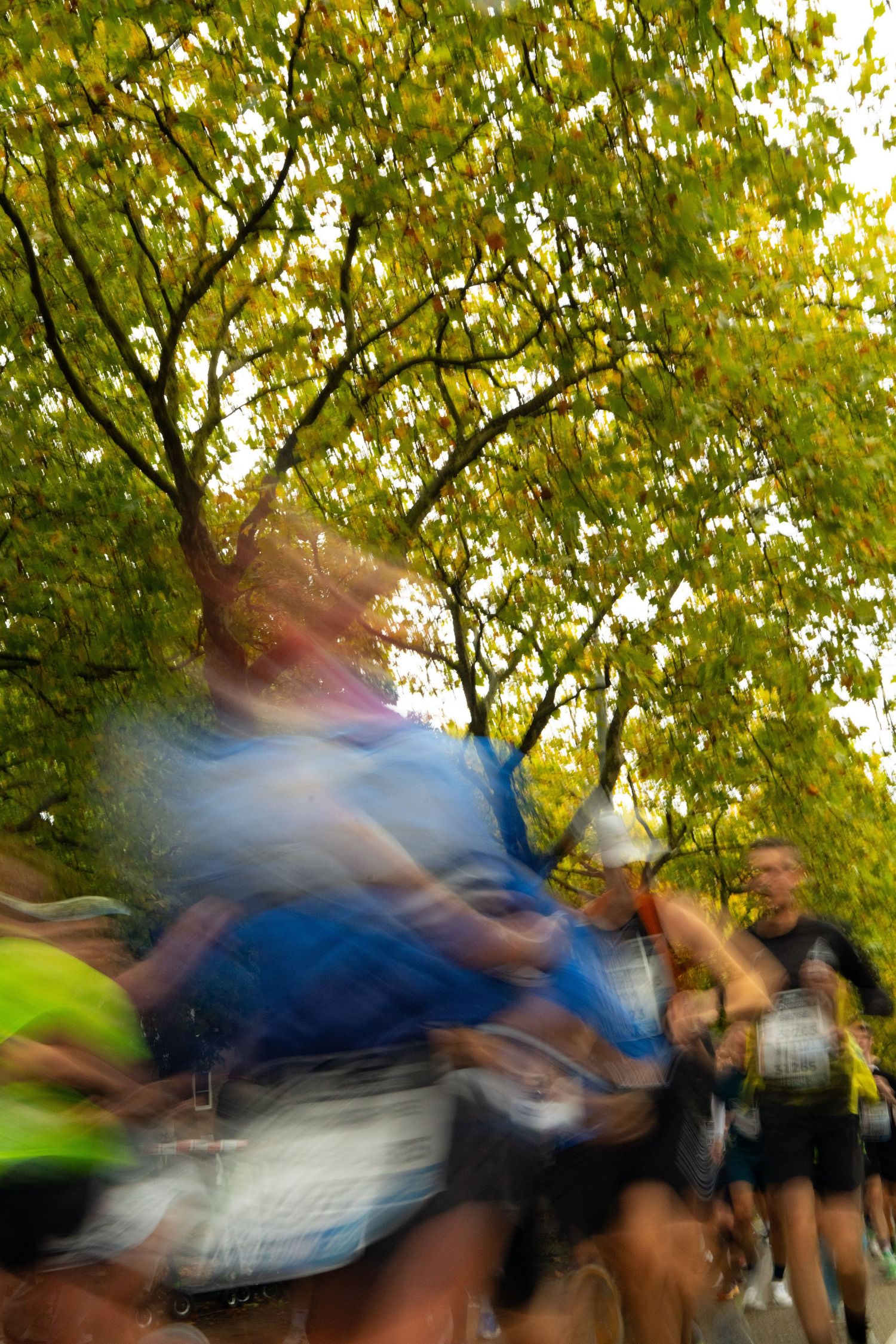 Motion-blurred marathon runners in colorful athletic gear pass beneath green and yellow autumn trees.