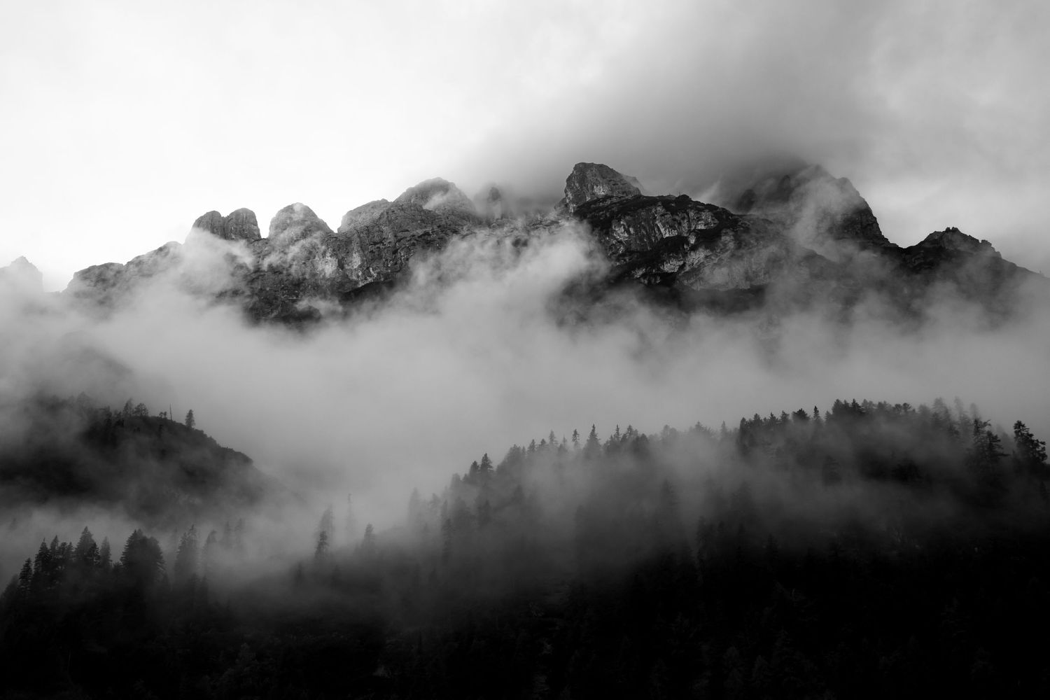 Black and white photo of jagged mountain peaks rising above low clouds and mist, with a dark evergreen forest in the foreground.