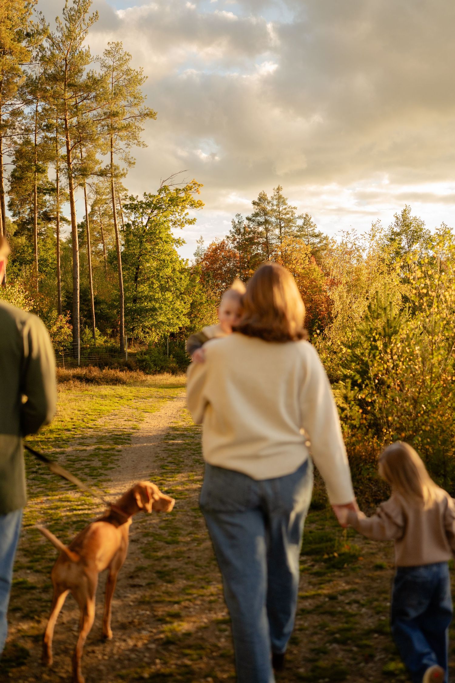 Family walks a golden autumn forest path with a Vizsla dog, a mother carrying a baby and holding a young girl's hand.