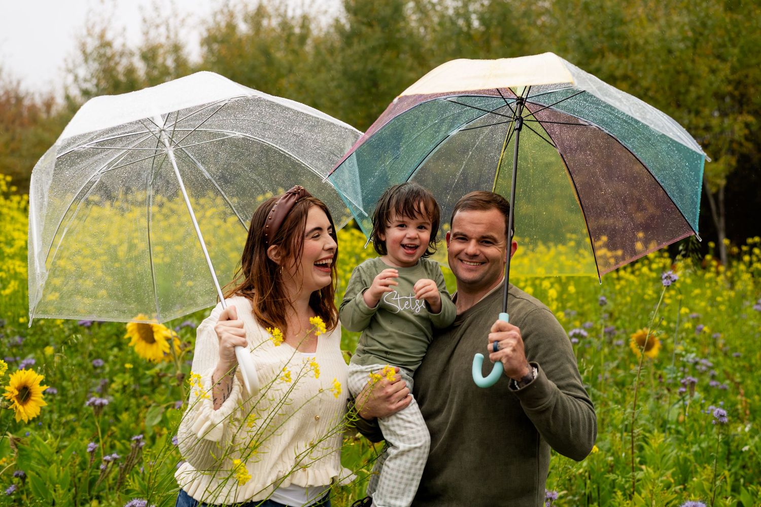Smiling family of three holding clear umbrellas in a sunflower field while a laughing woman and man hold a toddler in the rain.