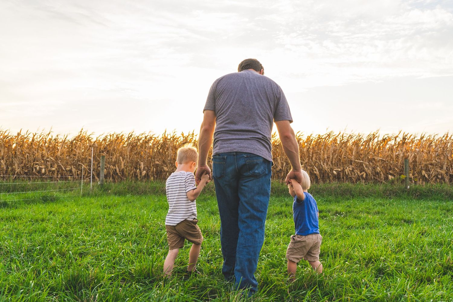 People walking together in a green field at sunset with tall corn stalks in the background at golden hour.