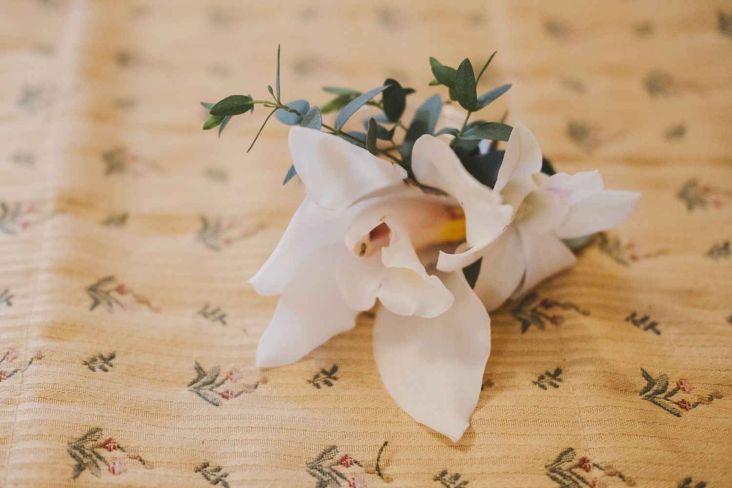 White lily flowers laying on vintage floral patterned fabric create an elegant and romantic composition.