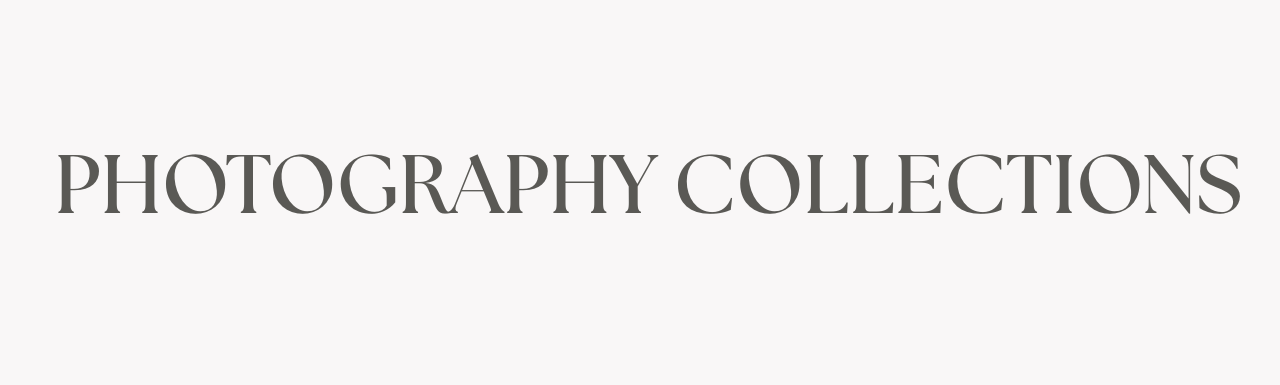 Simple gray text reading 