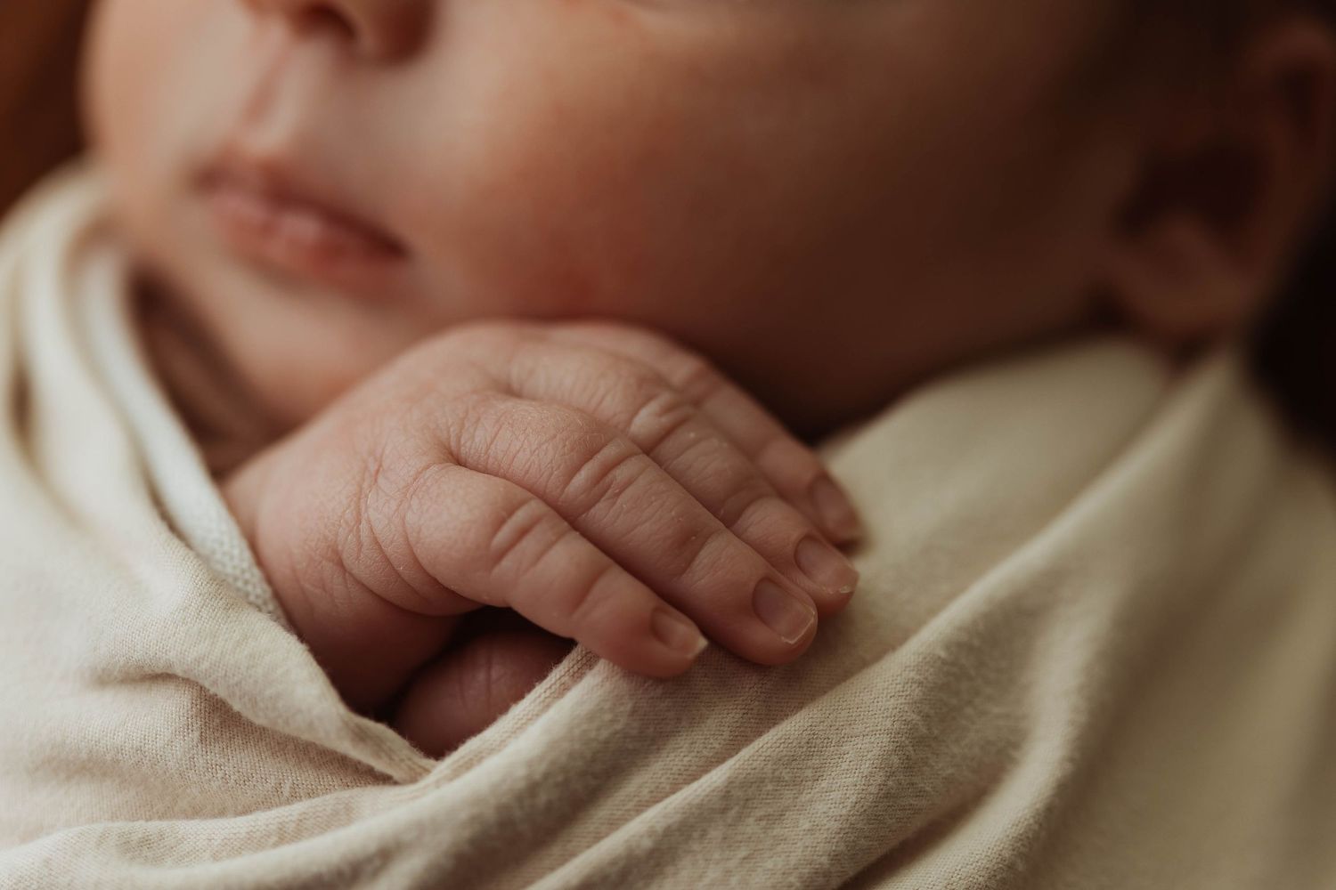 Newborn portrait taken by Elle & Co. Photography in Southeast Michigan