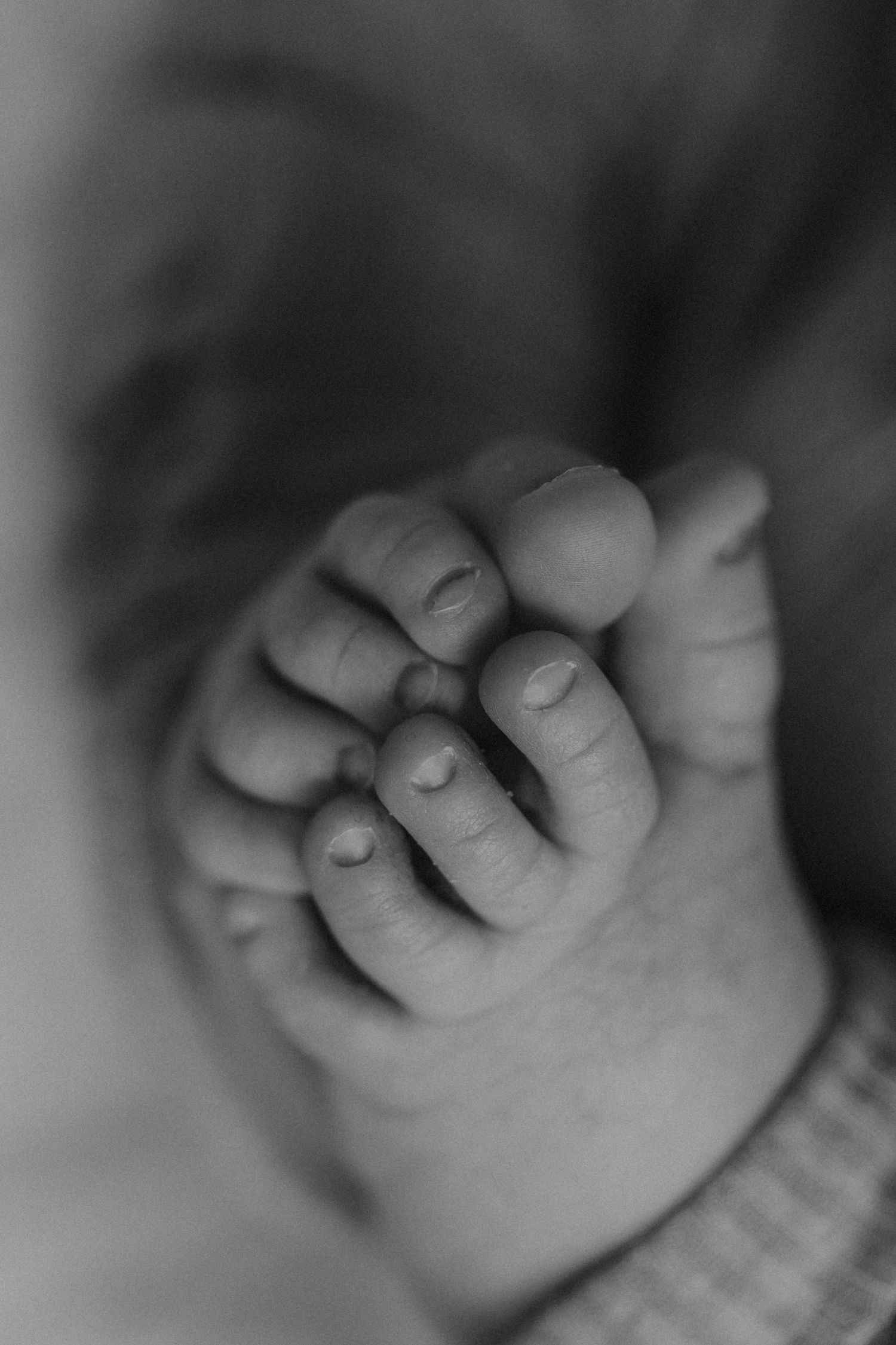 Newborn detail portrait taken by Elle & Co. Photography in Southeast Michigan