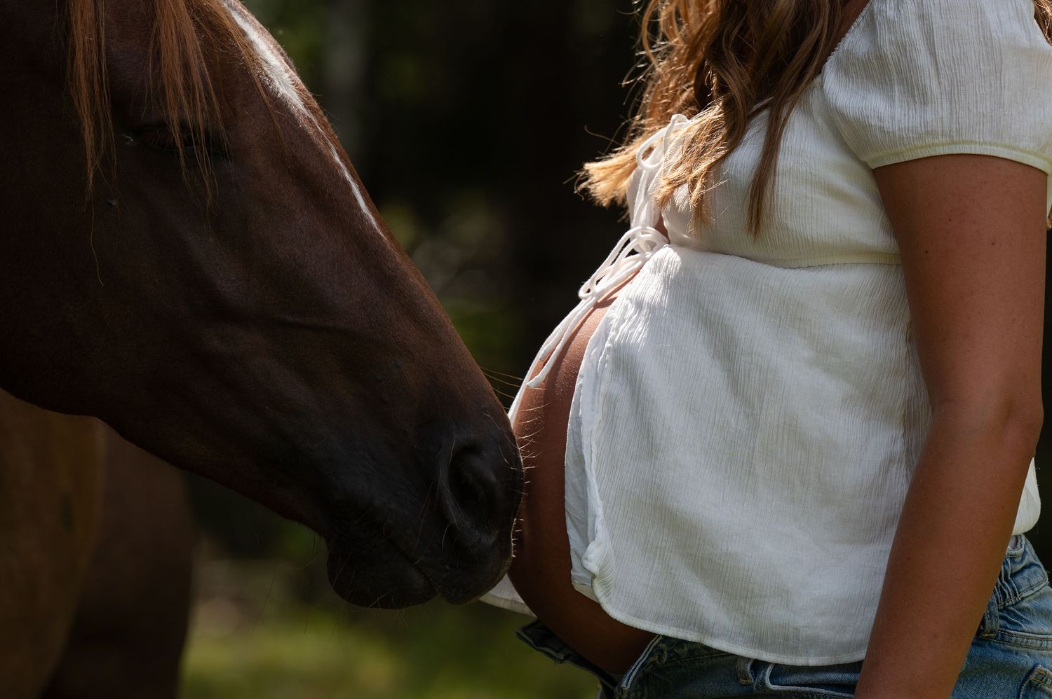 A pregnant woman in a white top stands close to a dark brown horse nuzzling her baby bump outdoors.