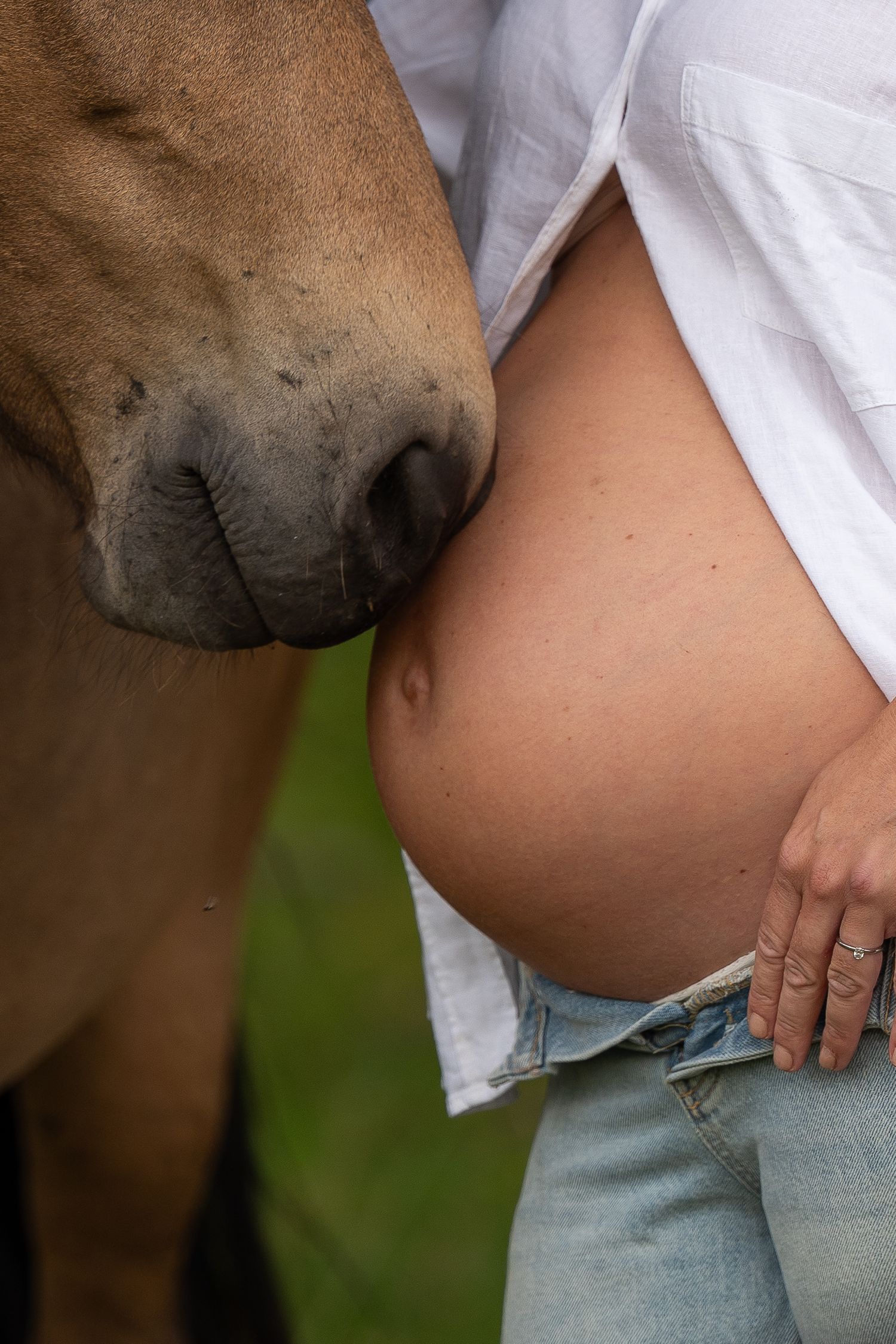 A horse nuzzles a pregnant woman's bare belly outdoors, symbolizing a gentle bond between animal and expectant mother.