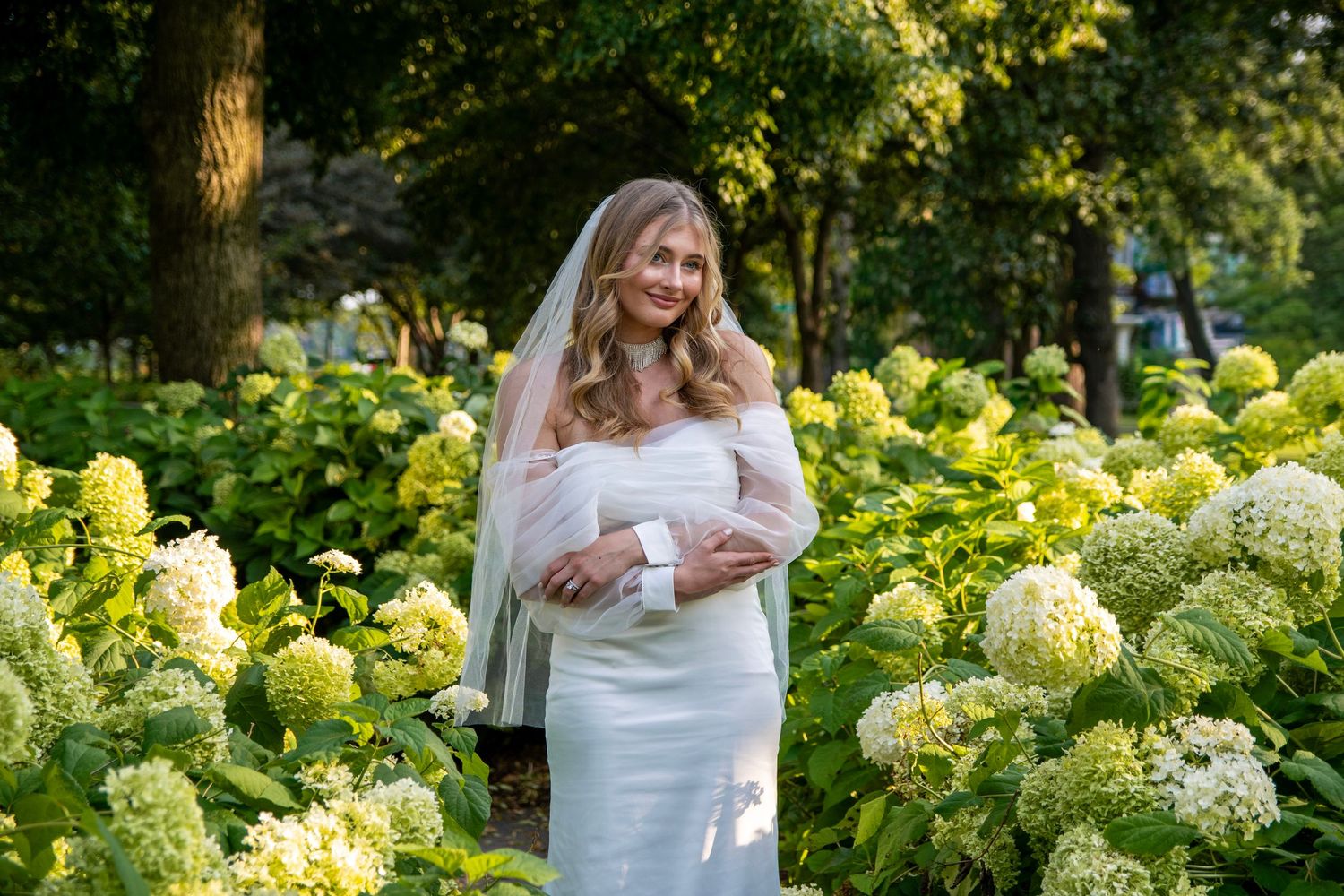 Bride poses in a garden surrounded by blooming white hydrangea bushes on a sunny day.