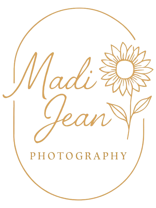 Elegant photography logo designs featuring sunflower motifs in gold.