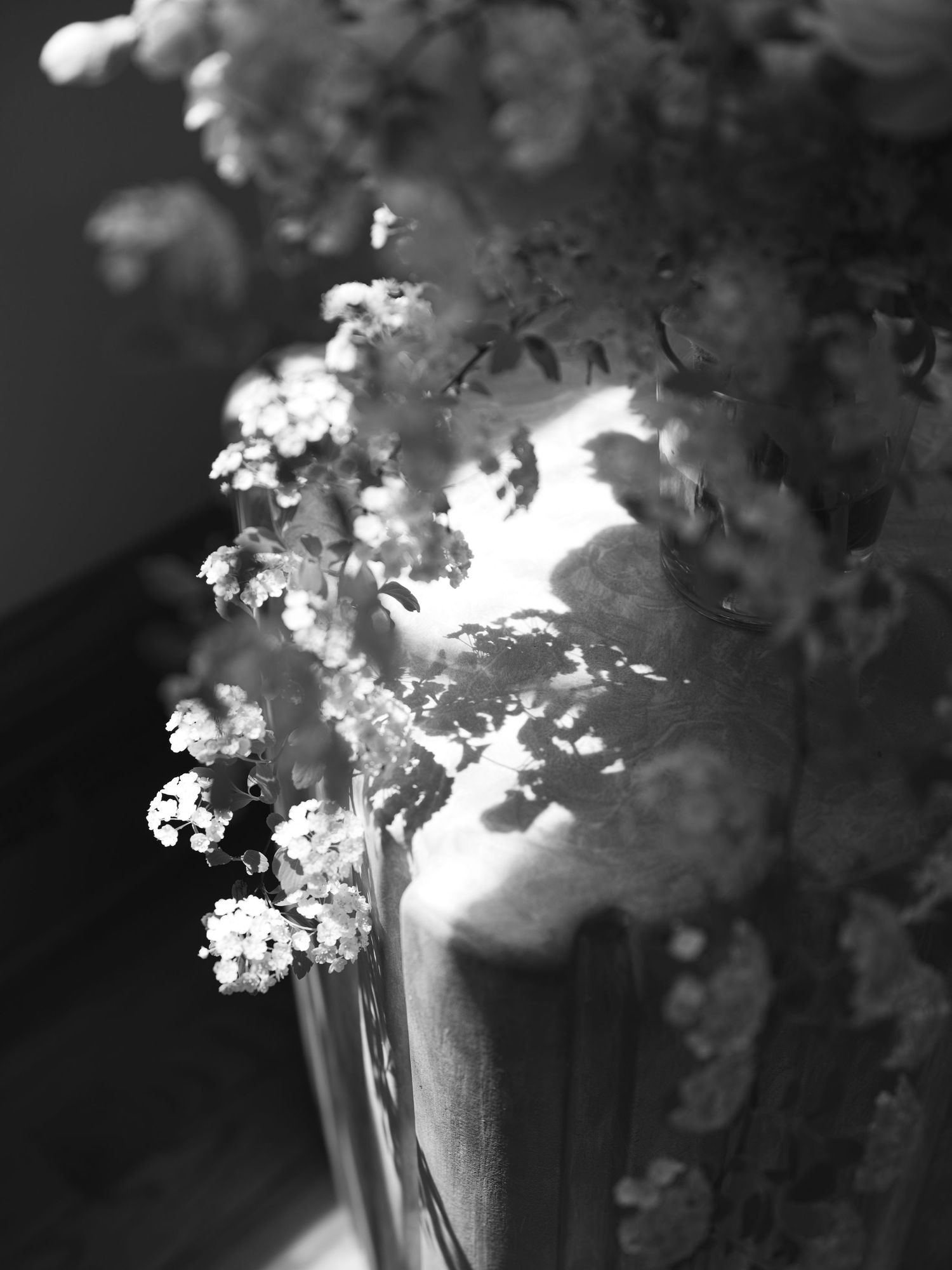 Black and white photo of delicate white flowers in a glass vase with dramatic light and shadow contrast.