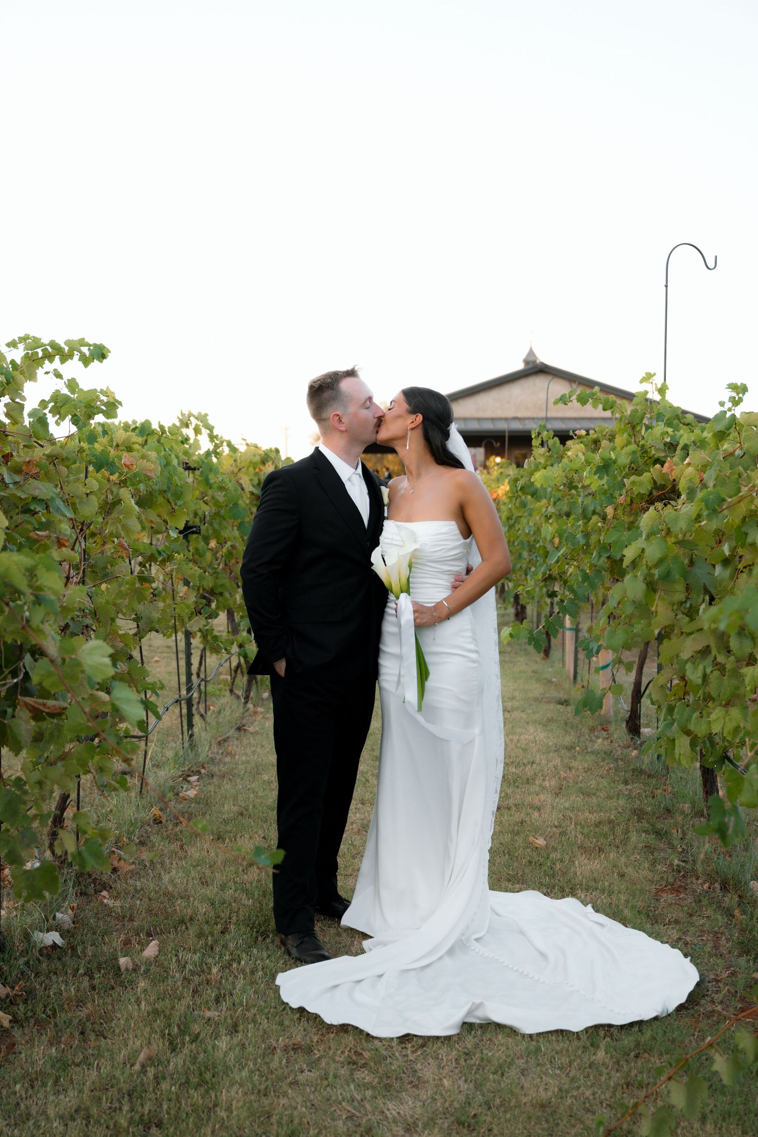 A bride and groom share a romantic kiss in a lush vineyard, with the bride holding a white bouquet in her elegant gown.