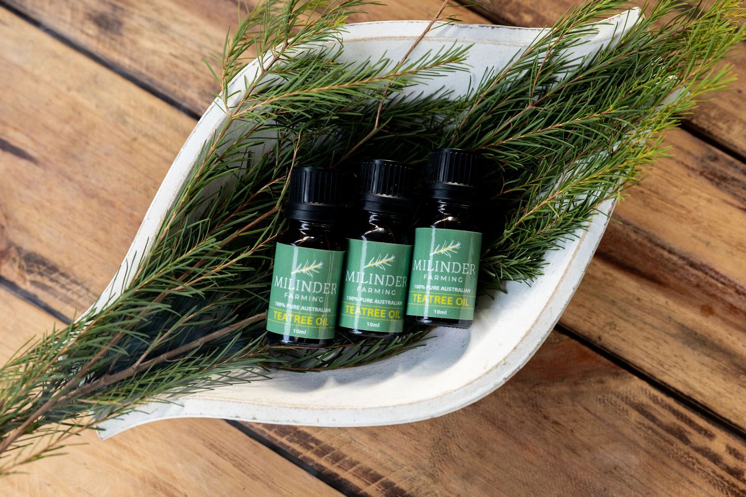 Essential oil bottles nestled among fresh pine branches on a rustic wooden surface.