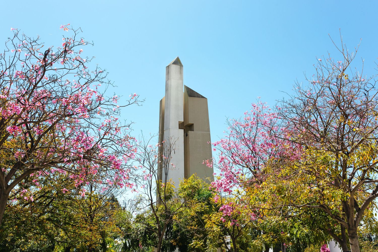 Cherry blossom trees frame a tall stone cross monument against blue sky.