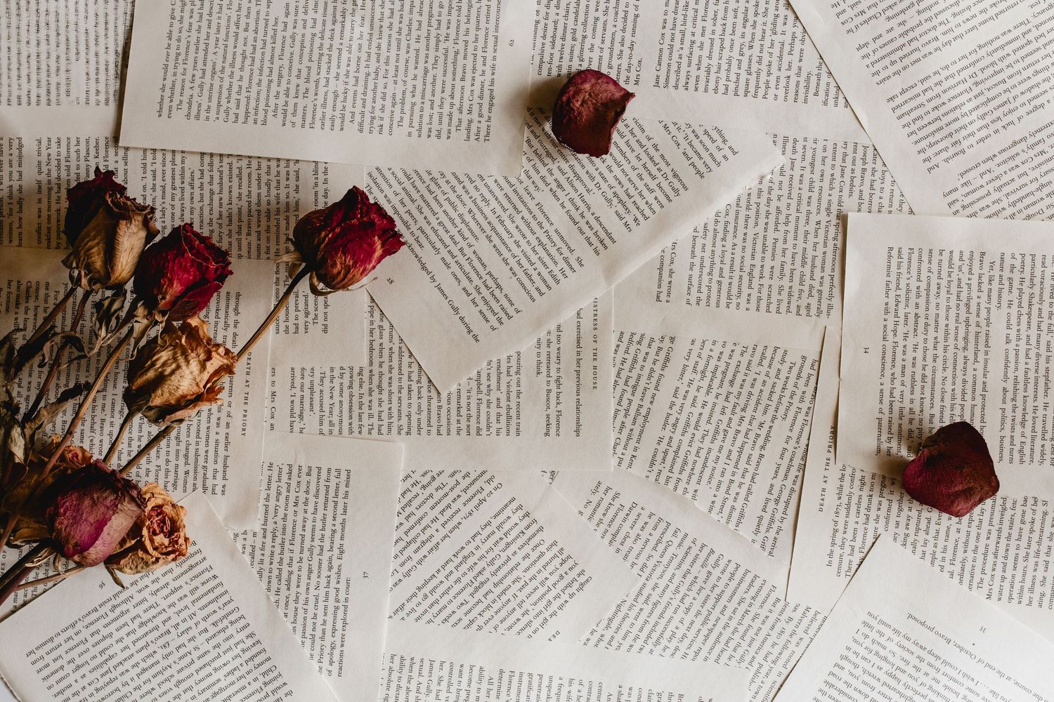 Vintage book pages spread out with dried red roses creating a romantic literary backdrop.