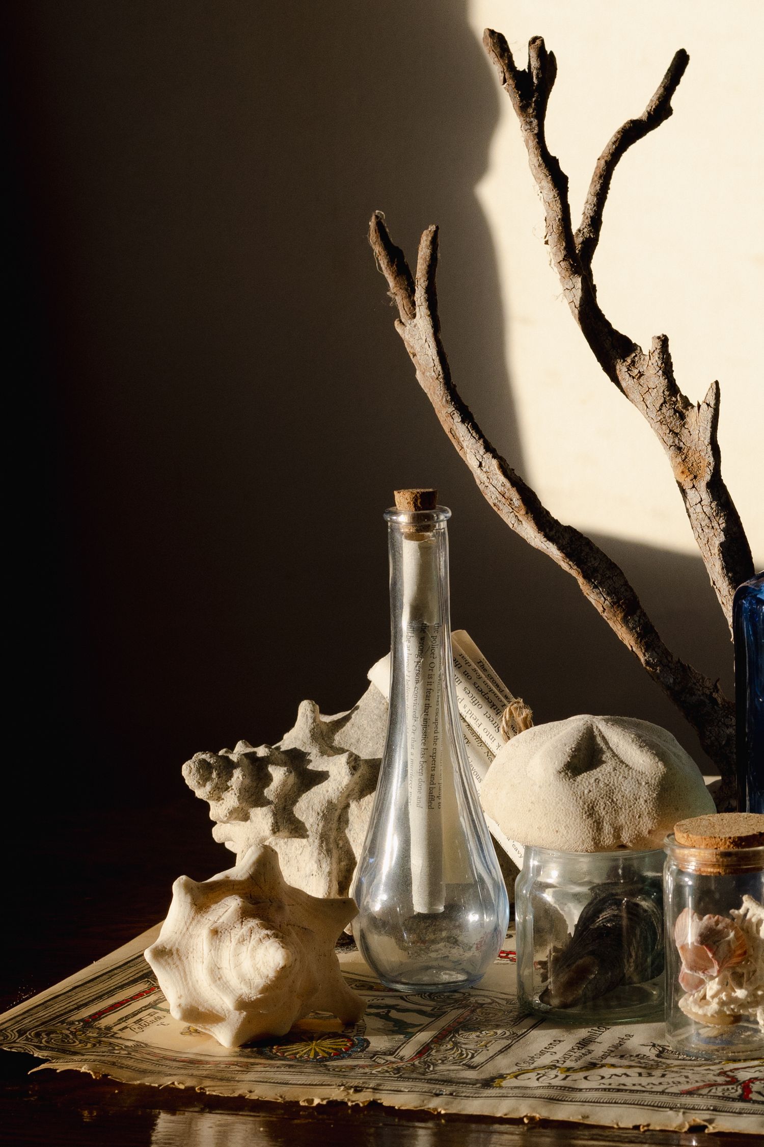 Still life arrangement of seashells, glass bottles, and driftwood on a vintage book in warm dramatic lighting.