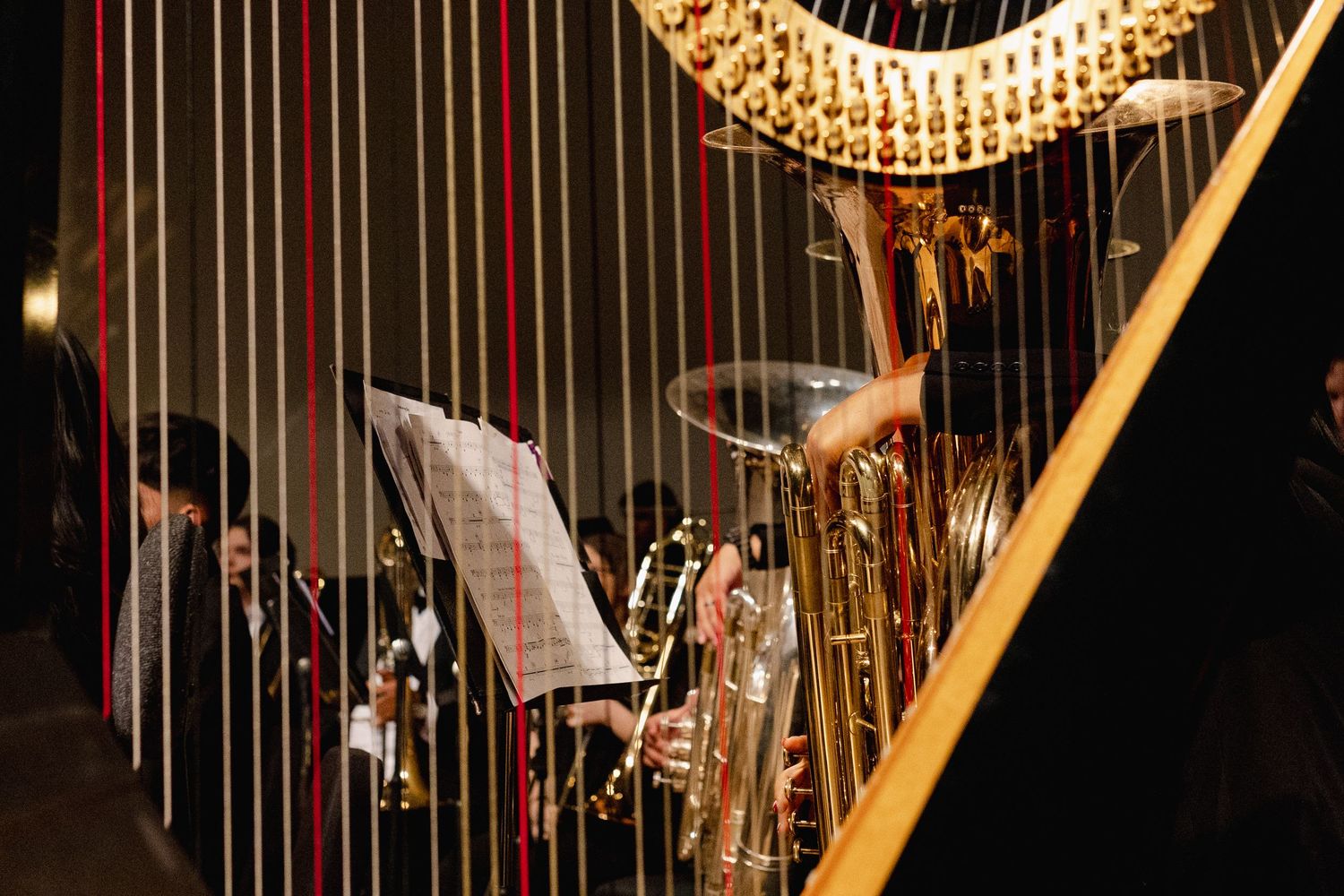 Golden harp strings glisten under dramatic stage lighting during a classical music performance.
