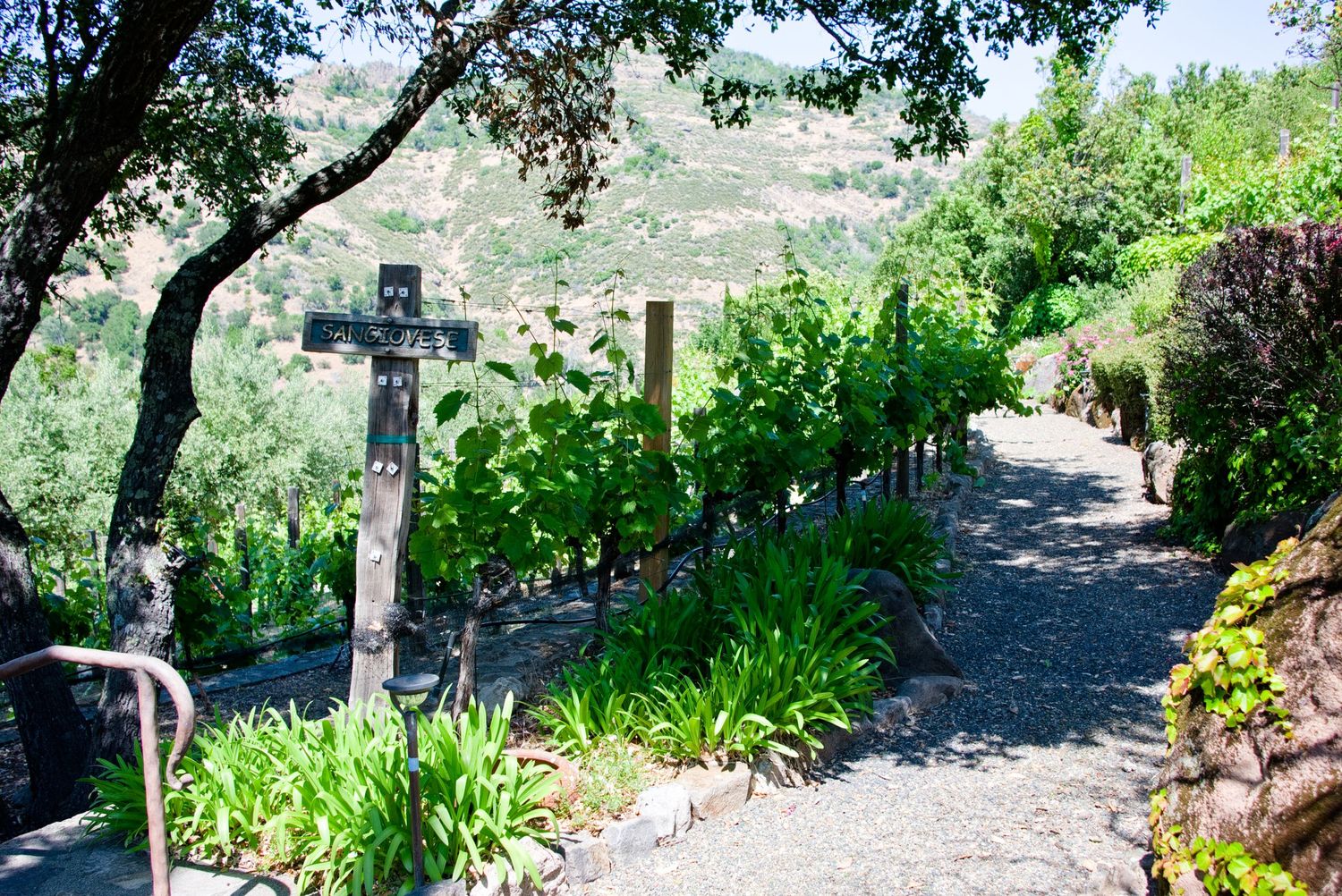 A stone cross marks a garden path winding through lush greenery and hillside vineyards on a sunny day.