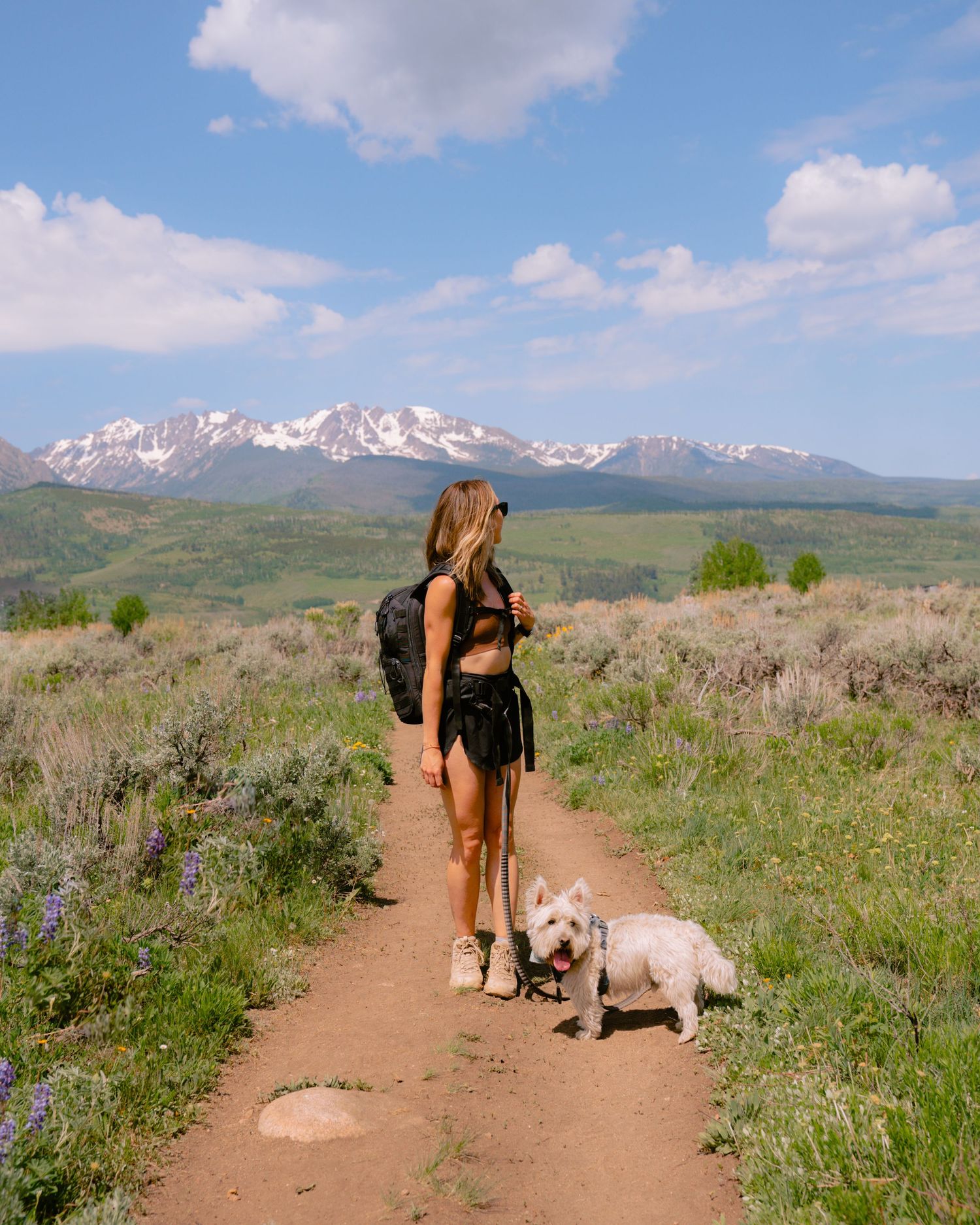 A hiker walks their white dog on a dirt trail with snow-capped mountains and sagebrush in the background.