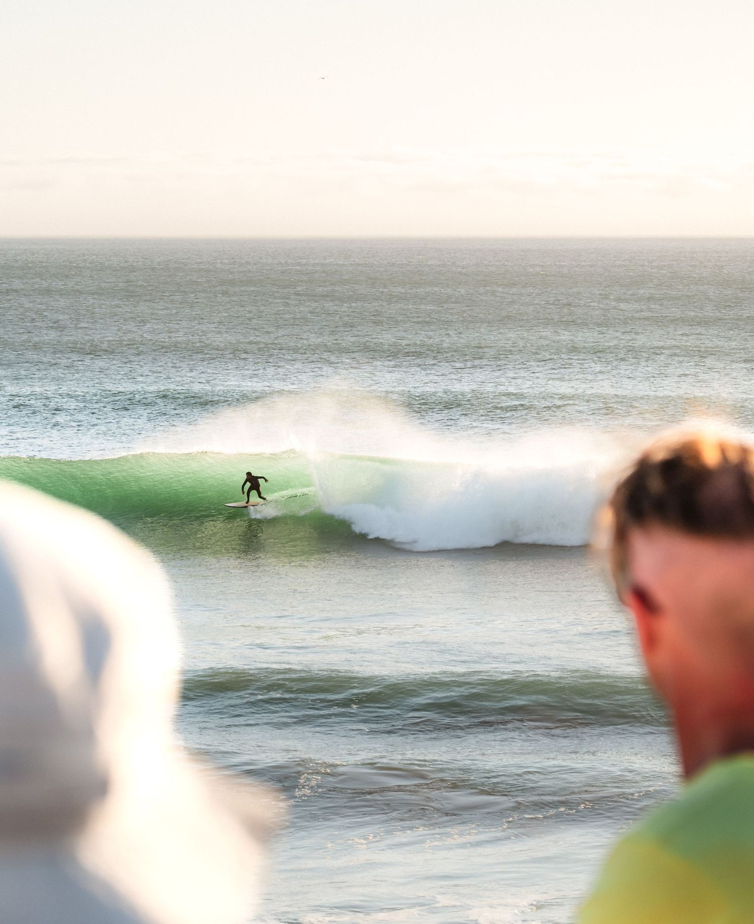 A surfer rides a clean ocean wave during golden hour with soft sunlight illuminating the breaking water.