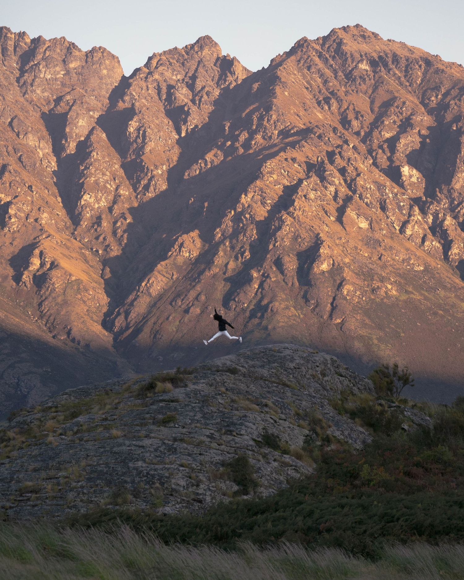 A bird soars over a rocky hillside against the backdrop of rugged mountains glowing in warm sunset light.