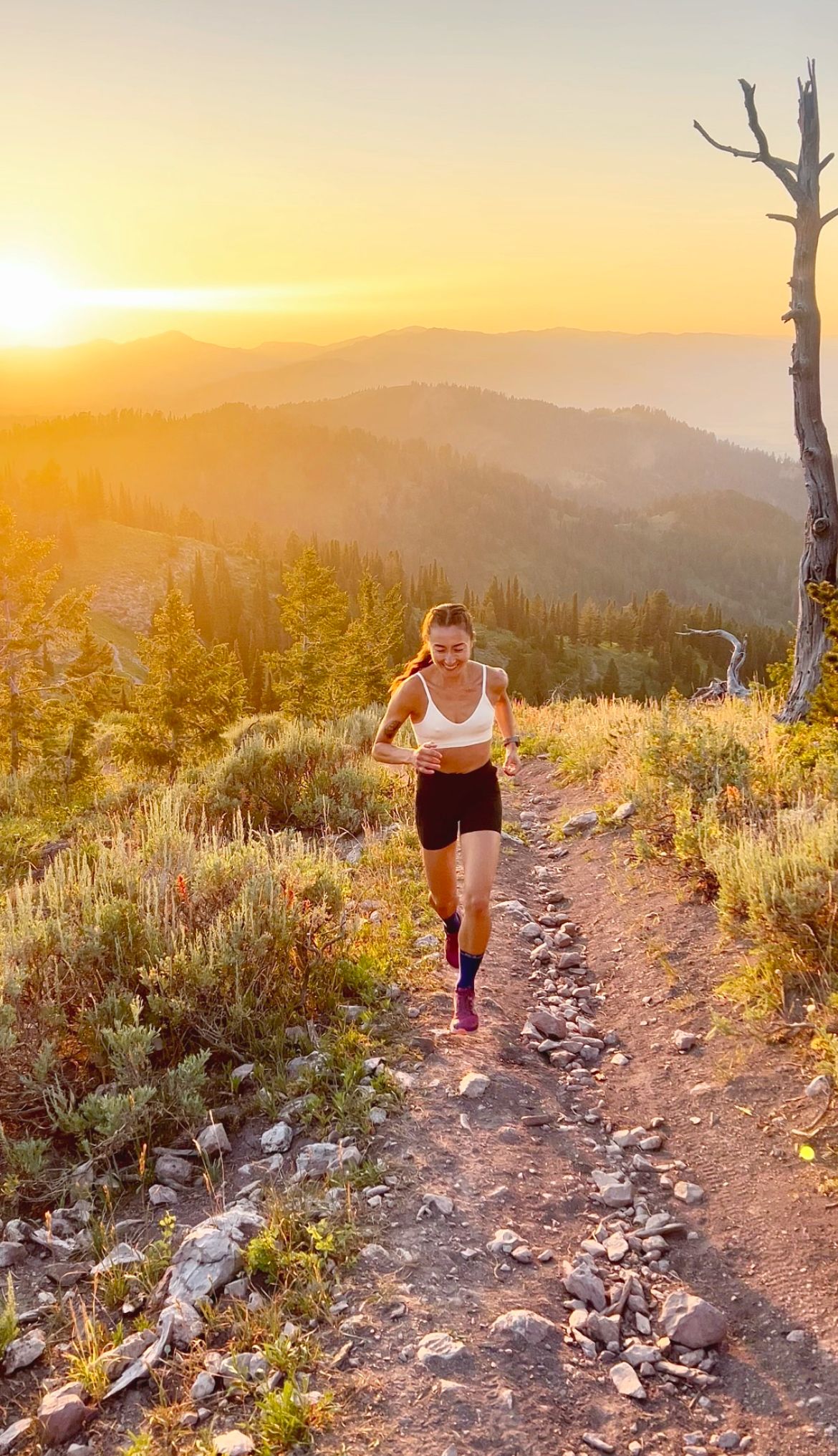 Trail runner on mountain path during golden sunset with scenic valley views.
