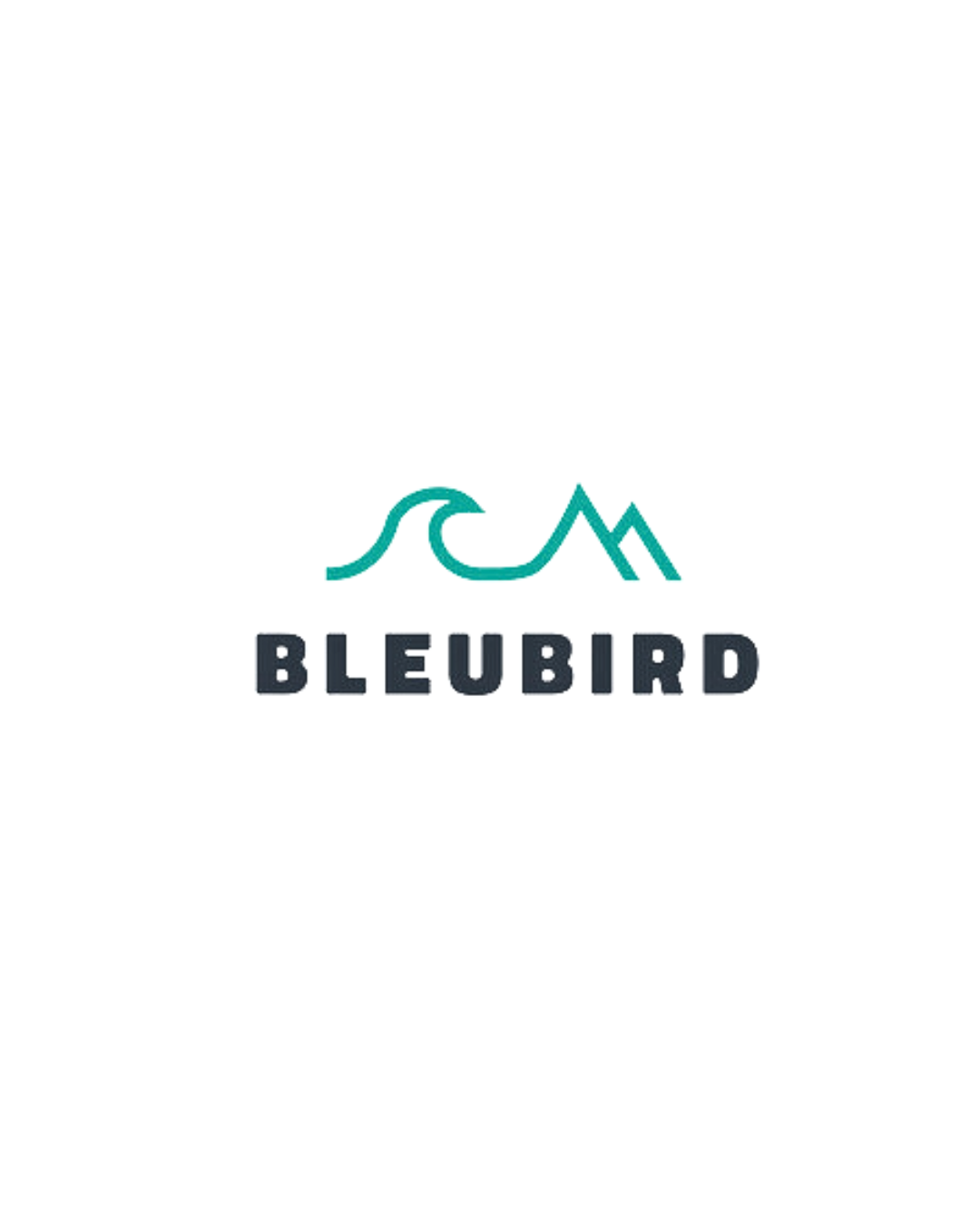 Minimalist logo design featuring blue-green wave and mountain shapes with Bleubird text.