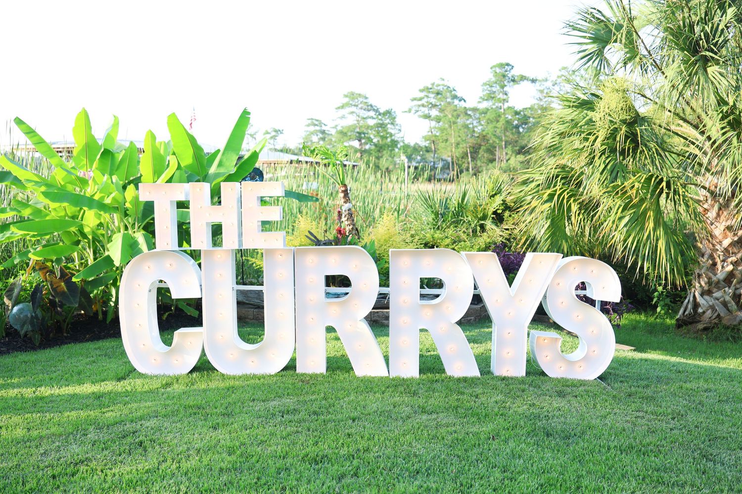 Large white marquee letters spelling THE CURRYS displayed on green lawn surrounded by tropical palm trees and lush greenery.