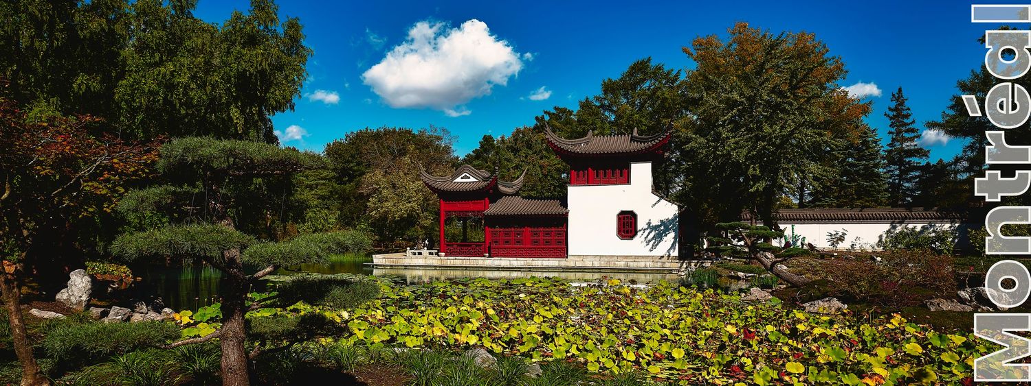 A serene Chinese garden with a red pagoda, lush greenery, yellow flowers, and a tranquil pond under a blue sky.