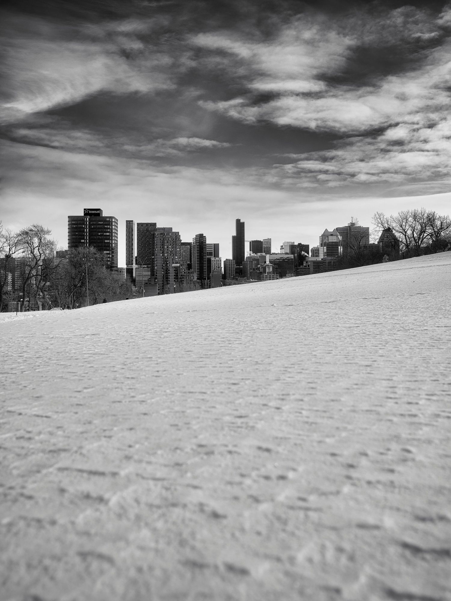 Black and white winter cityscape with snow-covered ground and urban skyline in distance.