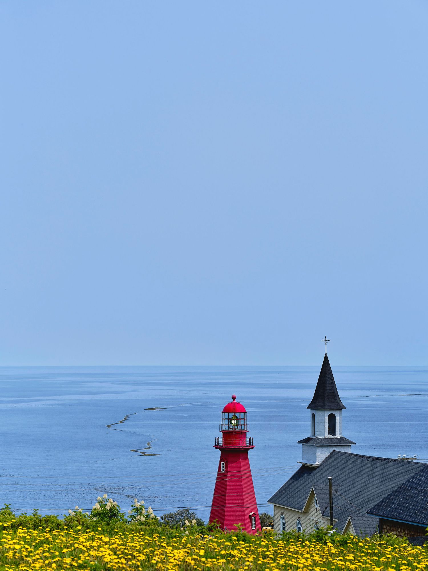 Red lighthouse and church buildings along a coastal landscape with yellow wildflowers in the foreground.