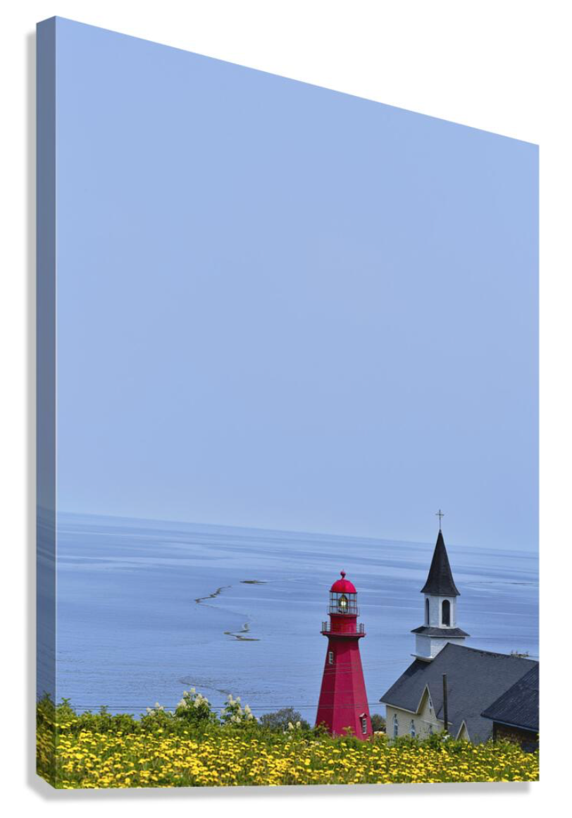 Red lighthouse and white church steeple rise above yellow wildflowers along the coast of La Martre, Quebec.