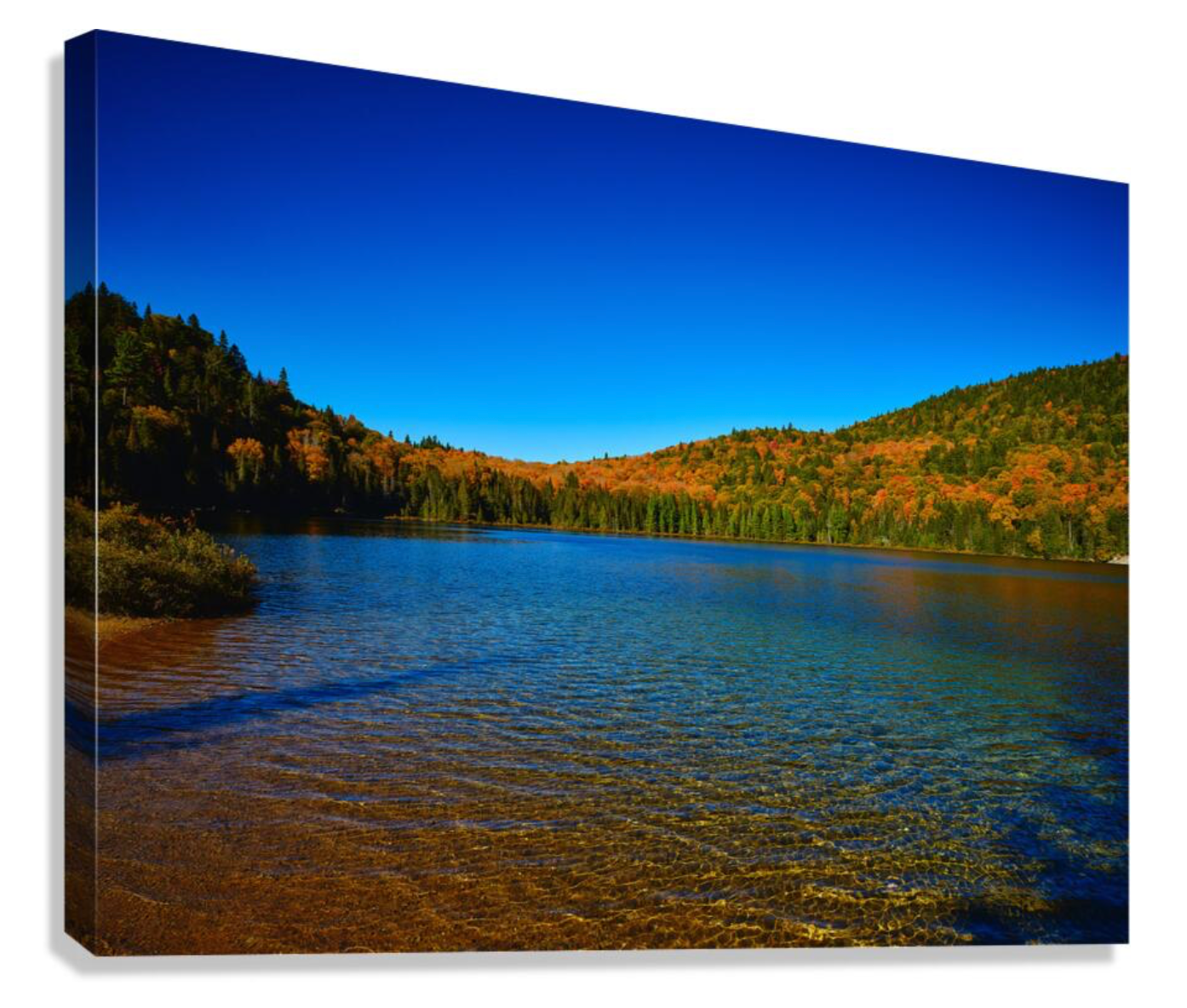 A scenic panoramic view of a tranquil blue lake surrounded by autumn-colored trees and hills under clear skies.