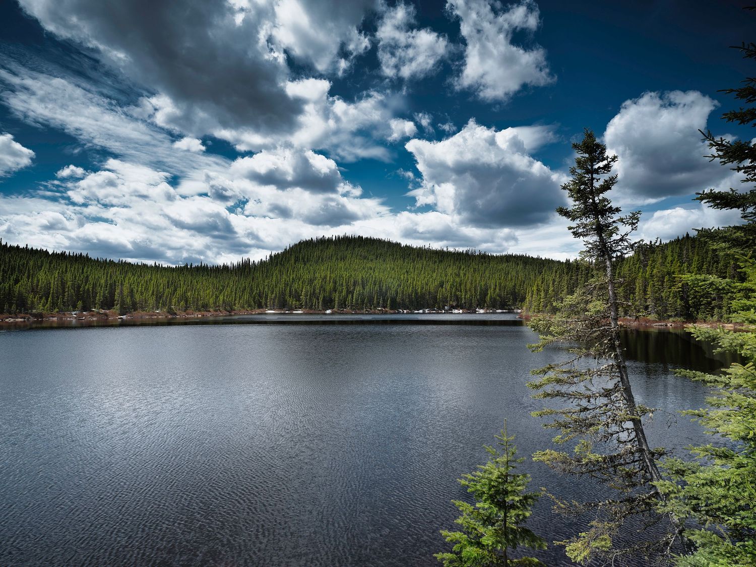 A scenic mountain lake surrounded by evergreen forest and dramatic white clouds against a deep blue sky.