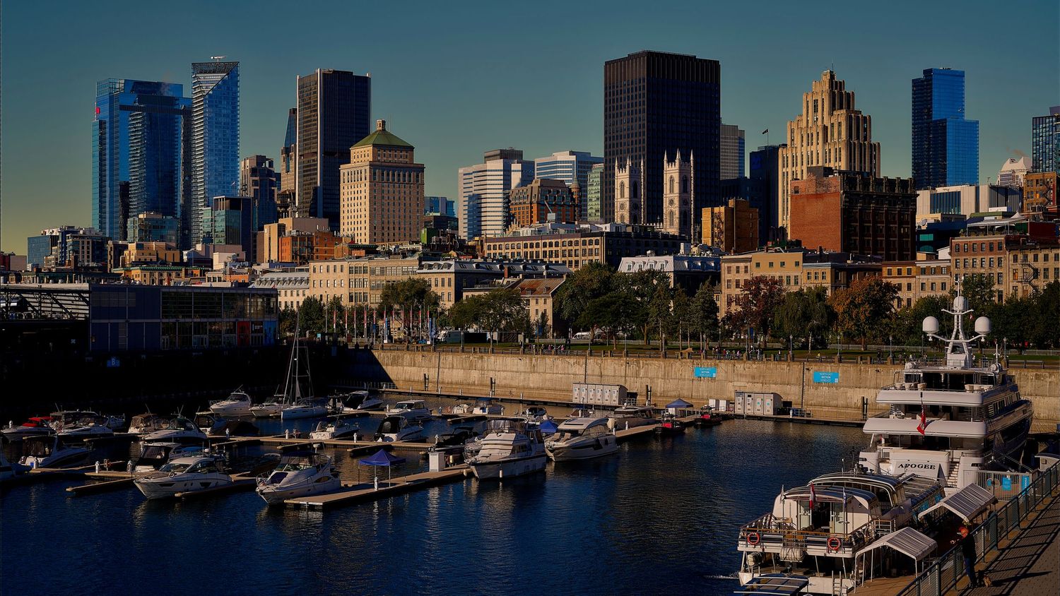 Montreal harbor marina with luxury yachts docked, framed by the city skyline of modern skyscrapers on a clear day.