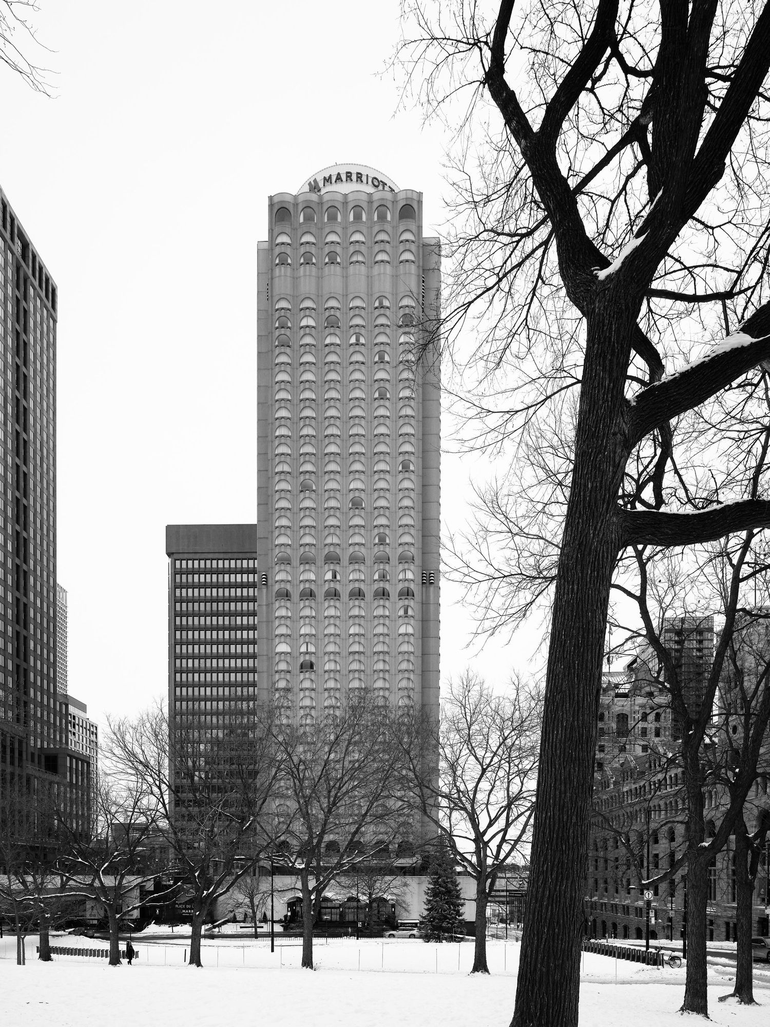Black and white urban winter scene of downtown skyscrapers framed by bare tree branches.