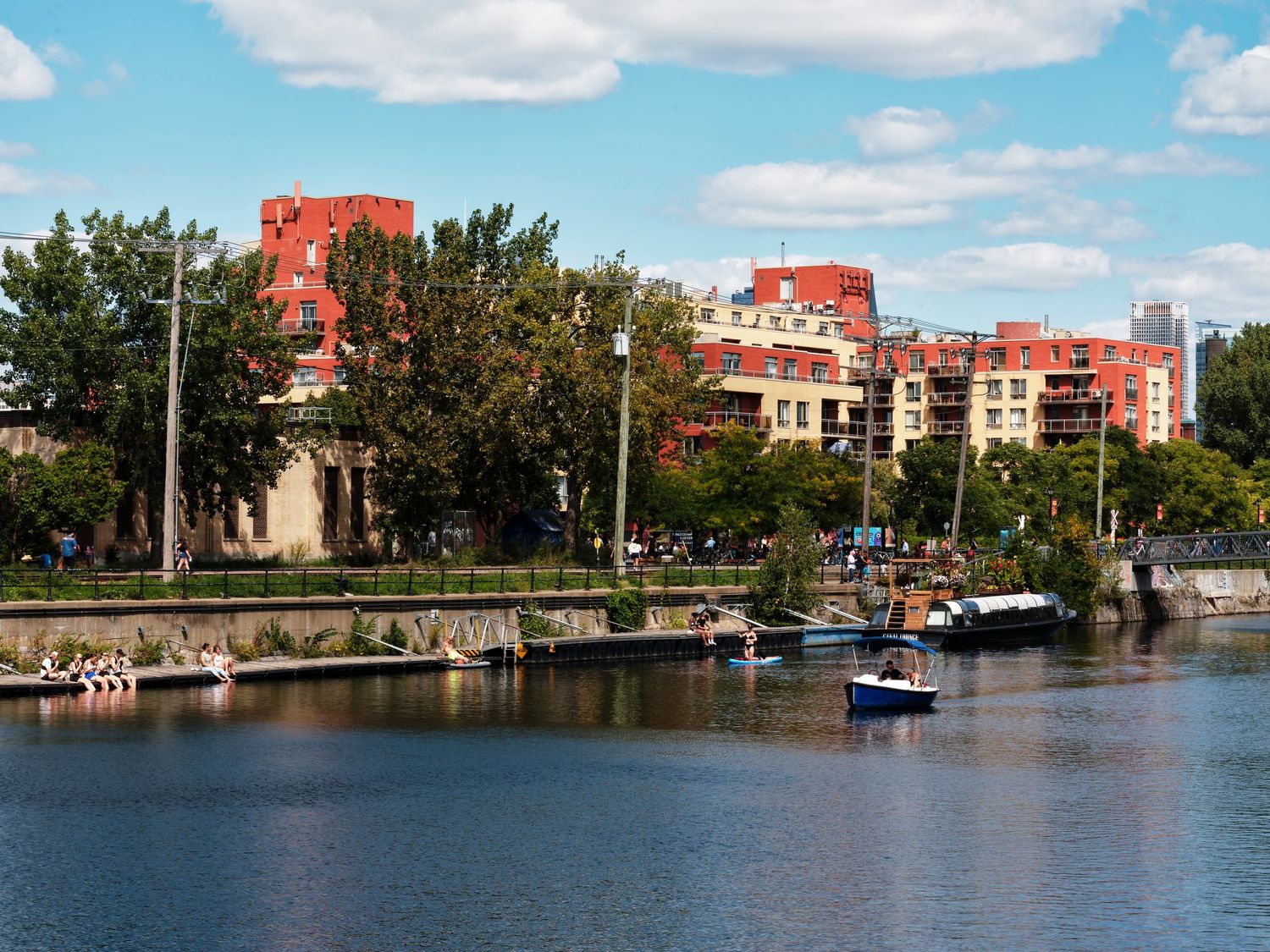 Rowing teams and boats on a calm urban river with red brick apartment buildings and lush trees in the background.
