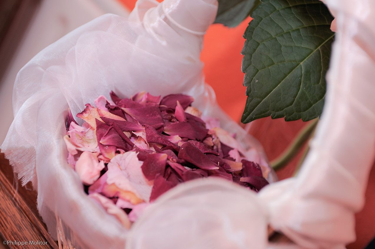 Close-up of pink and red rose petals in a white tulle flower girl basket with a green leaf.