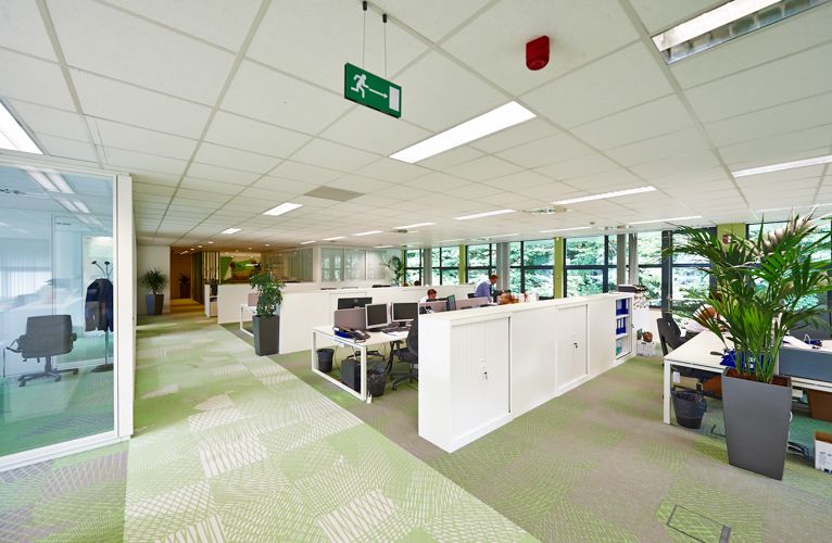 Modern open plan office space with suspended ceiling and green carpet flooring.