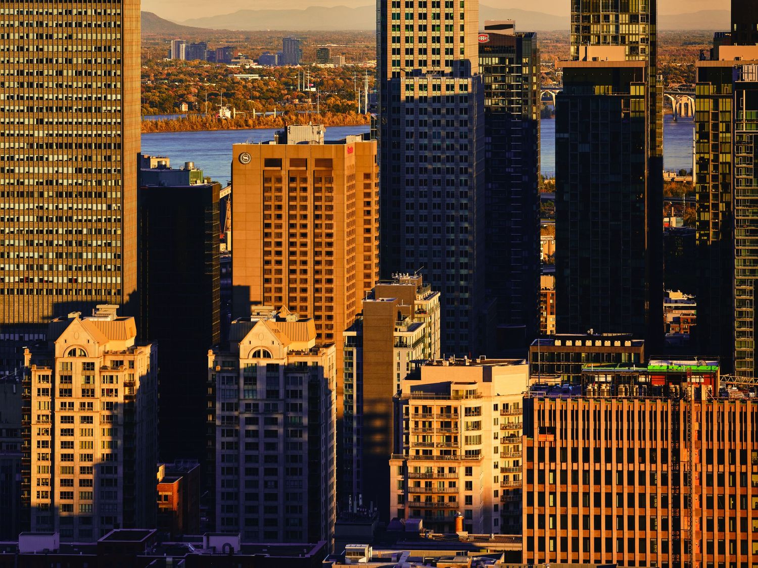 City skyline at sunset with golden light illuminating modern skyscrapers and office buildings.