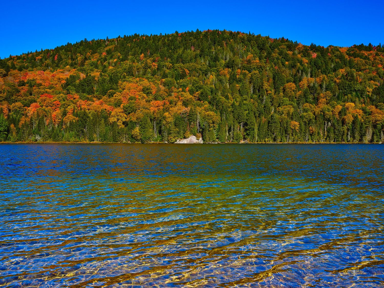 Scenic lake view with forested hills showing autumn colors reflecting on rippling blue water.