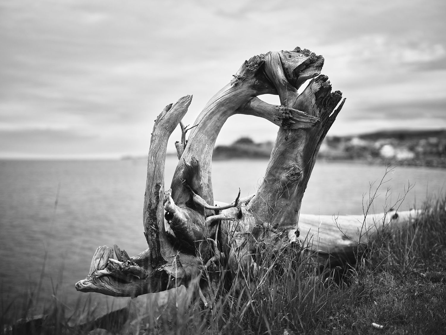Black and white photographs of hands reaching out against a cloudy sky and grassy landscape.