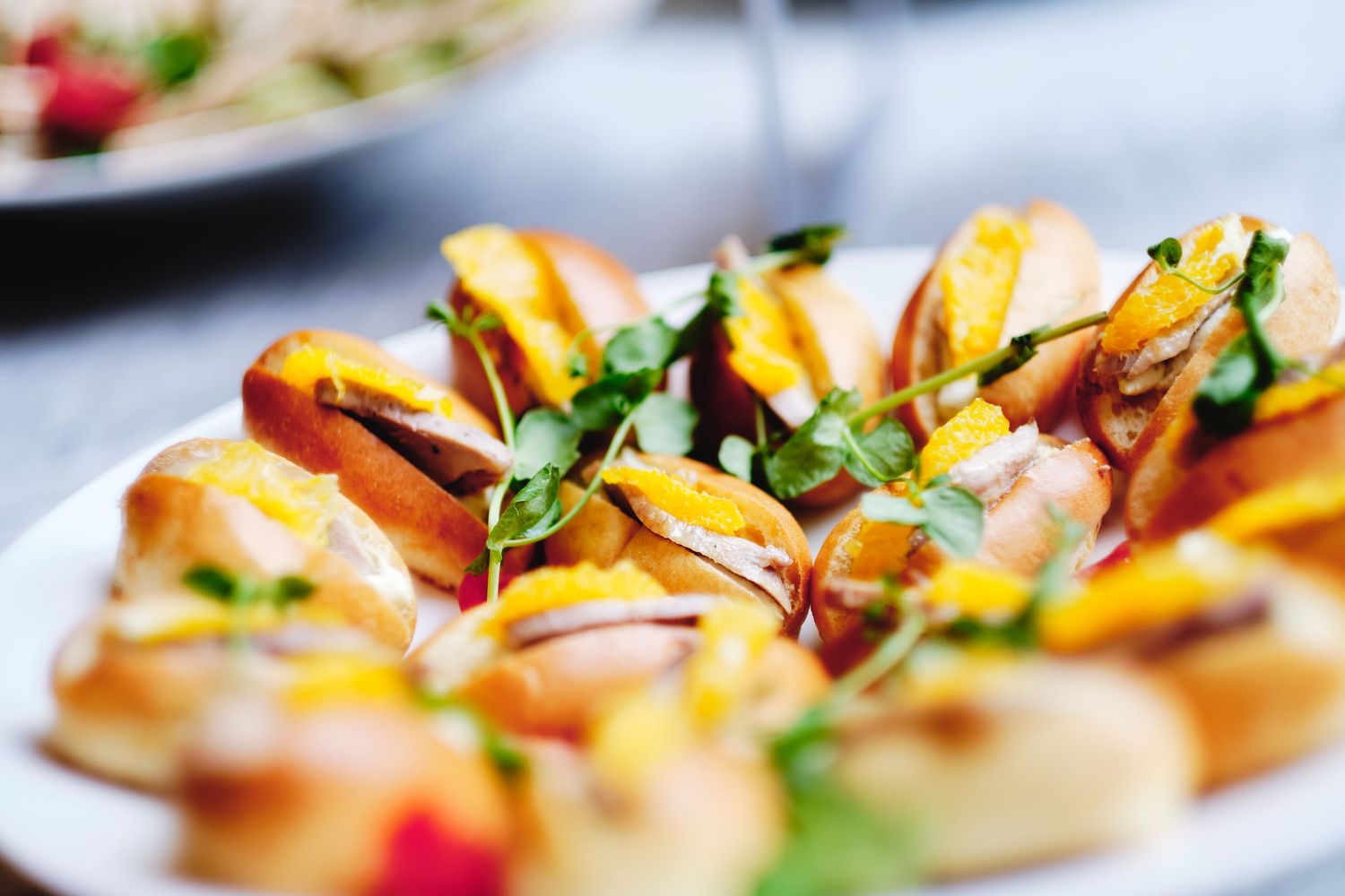 Close-up shot of colorful appetizers garnished with fresh herbs on white plates.