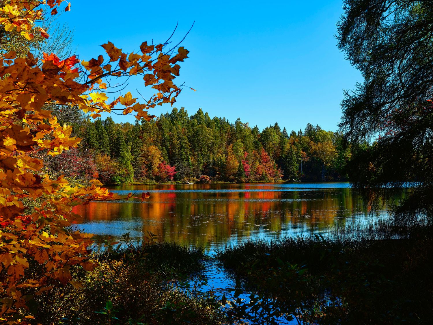 Autumn trees with vibrant orange foliage reflecting in calm lake waters.
