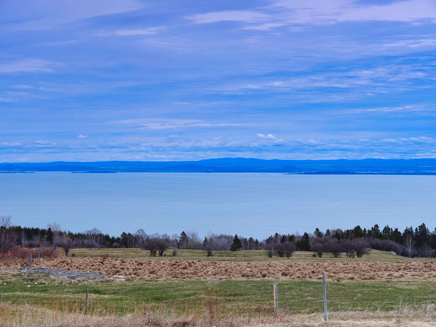Panoramic view of a vast open grassland stretching to the horizon under blue skies.