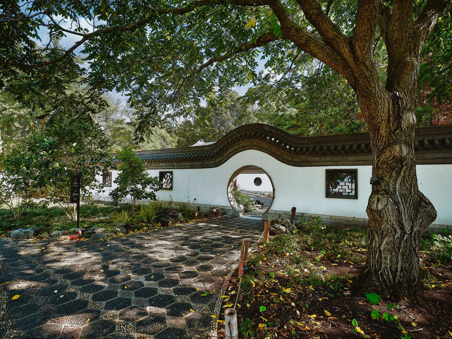 Shaded garden path under large trees with dappled sunlight filtering through the canopy.